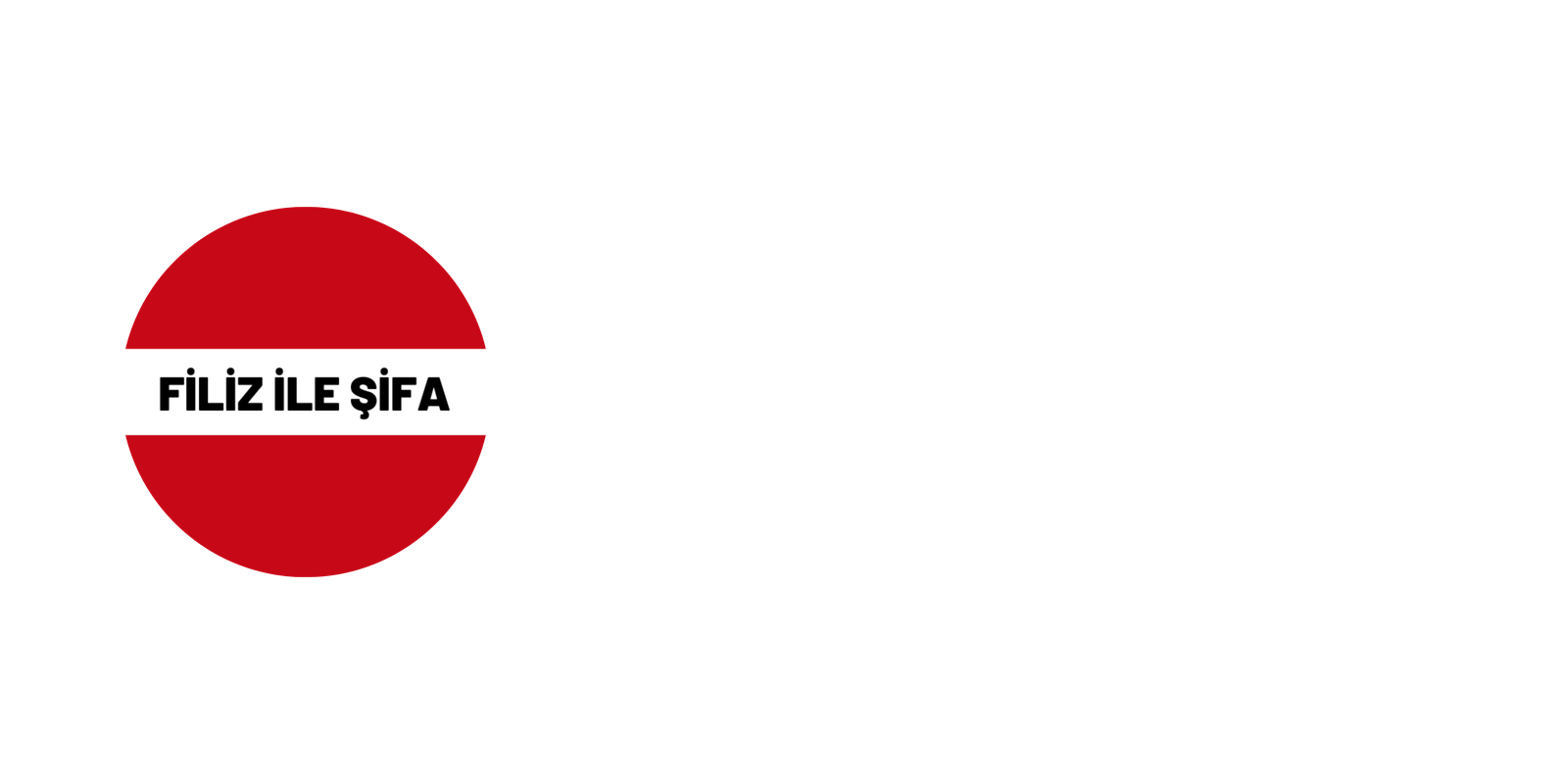 filizilesifa.com.tr